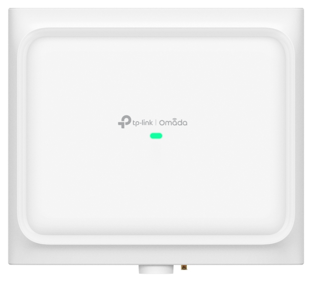 TP-Link Omada EAP650 D30-OUTDOOR puntos de acceso Blanco