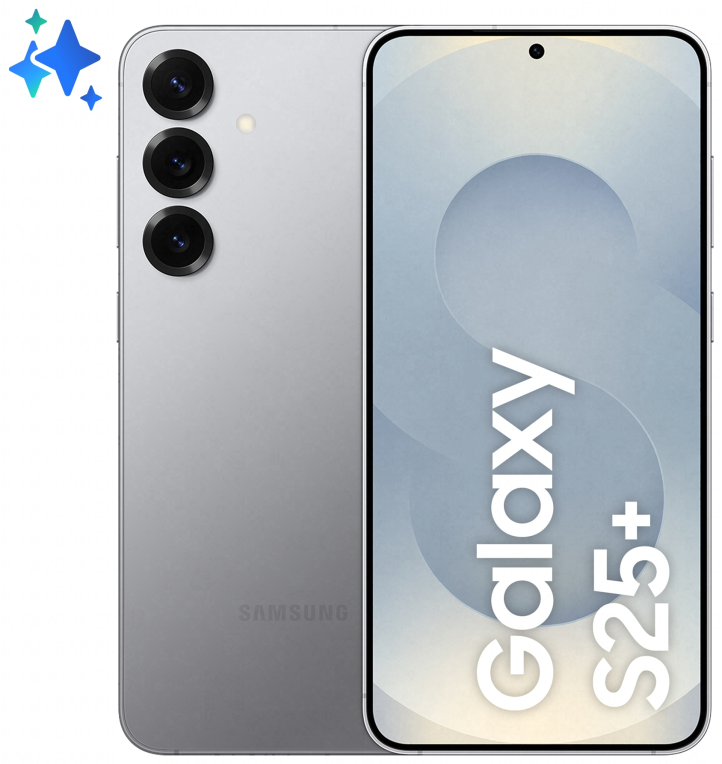 Samsung Galaxy S25+ smartphones 4900 mAh Gris